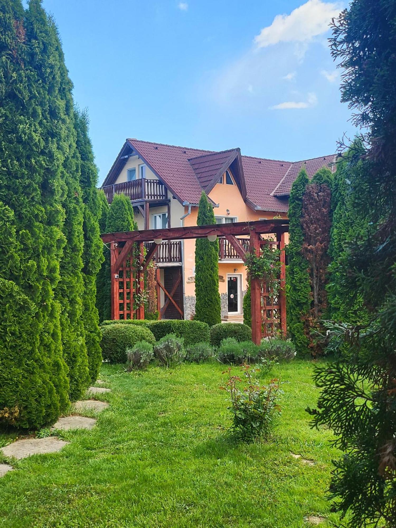 Pensiunea Mountain King Sîmbăta de Sus Exterior foto