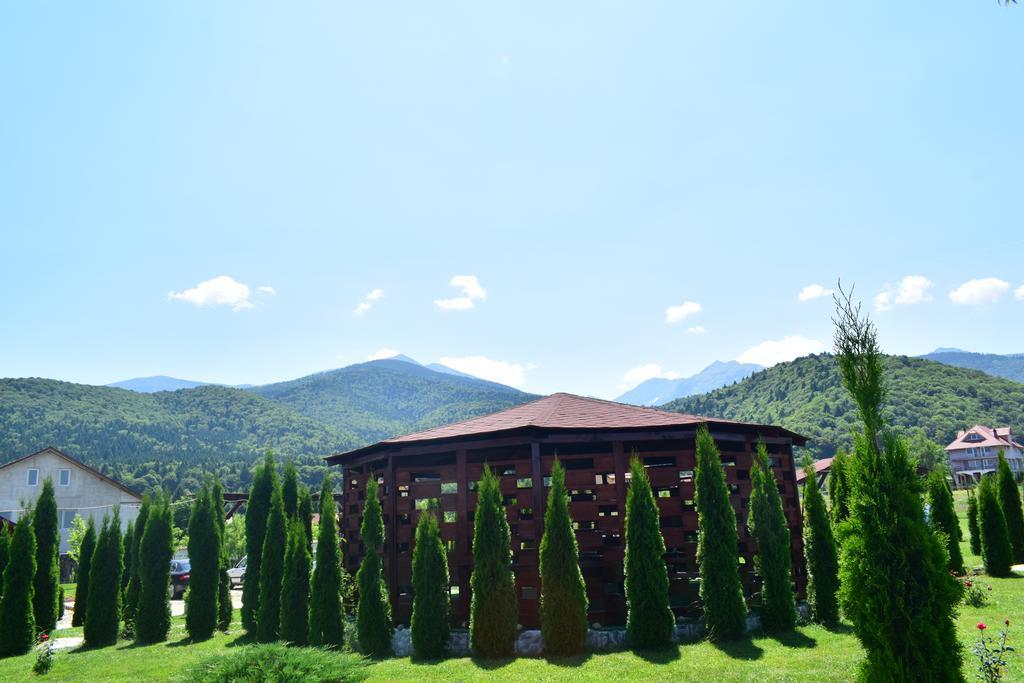 Pensiunea Mountain King Sîmbăta de Sus Exterior foto