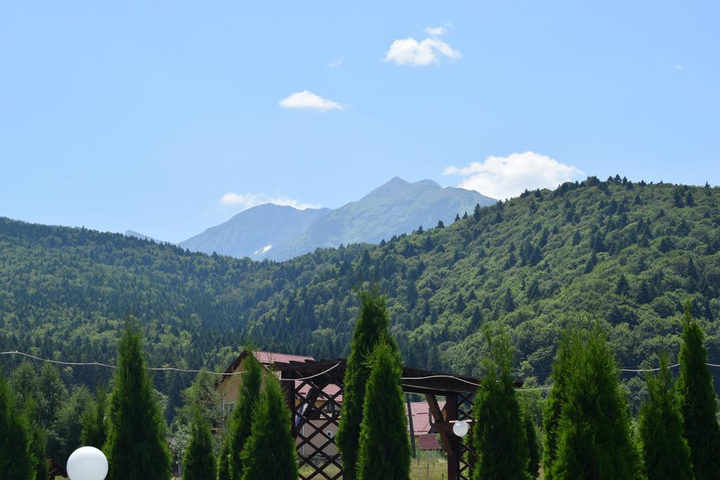 Pensiunea Mountain King Sîmbăta de Sus Exterior foto