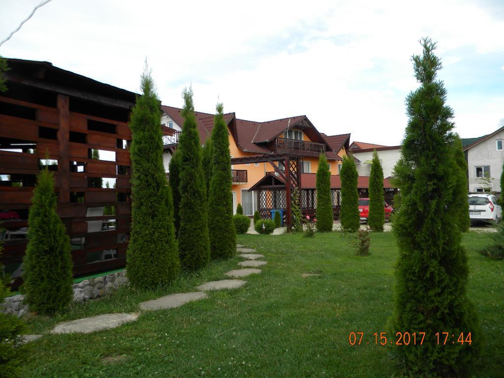Pensiunea Mountain King Sîmbăta de Sus Exterior foto