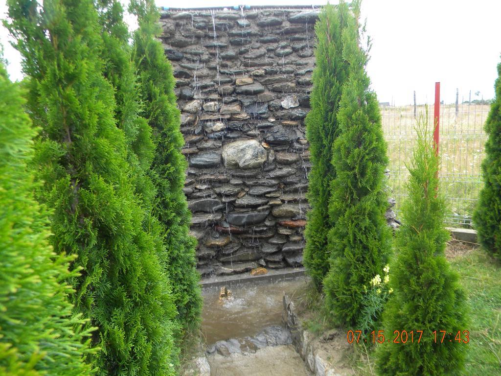 Pensiunea Mountain King Sîmbăta de Sus Exterior foto