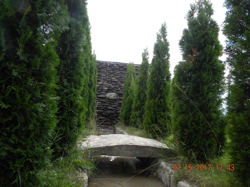 Pensiunea Mountain King Sîmbăta de Sus Exterior foto